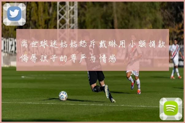 离世球迷姑姑怒斥戴琳用小额捐款侮辱孩子的尊严与情感